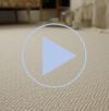 Europa carpet video